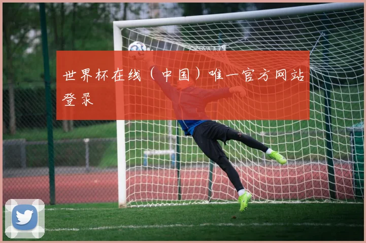 世界杯在线（中国）唯一官方网站登录