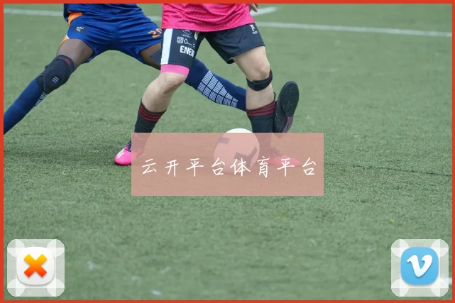 云开平台体育平台