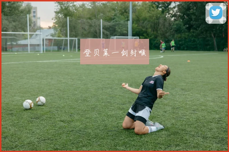 登贝莱一剑封喉