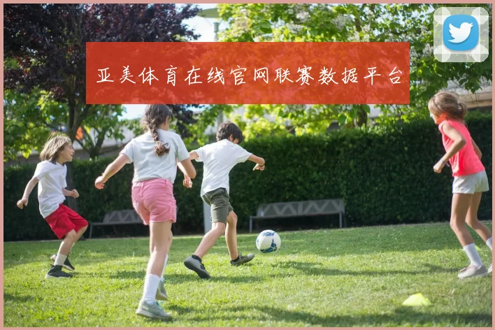 亚美体育在线官网联赛数据平台