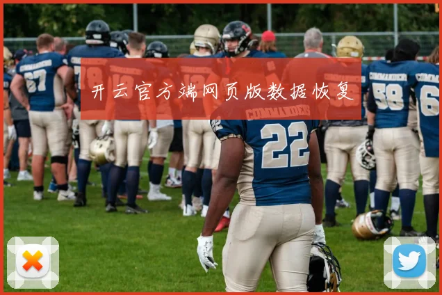 开云官方端网页版数据恢复