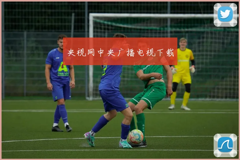 央视网中央广播电视下载