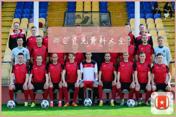 六合资免费料大全