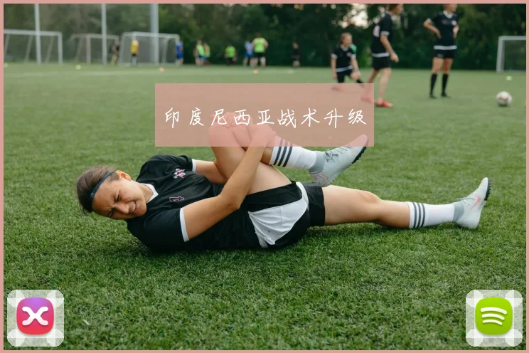 印度尼西亚战术升级