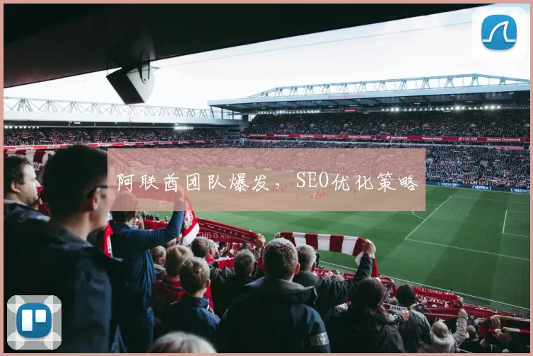 阿联酋团队爆发，SEO优化策略