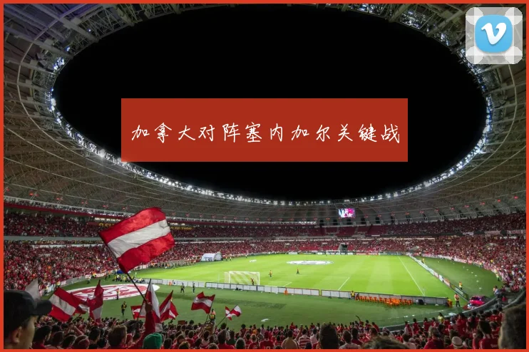 加拿大对阵塞内加尔关键战