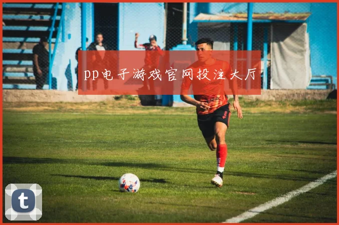 pp电子游戏官网投注大厅