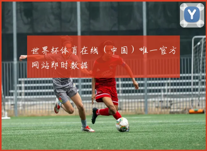 世界杯体育在线（中国）唯一官方网站即时数据