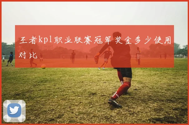 王者kpl职业联赛冠军奖金多少使用对比