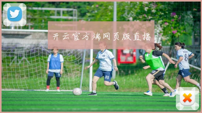 开云官方端网页版直播