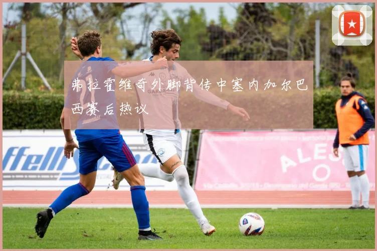 弗拉霍维奇外脚背传中塞内加尔巴西赛后热议
