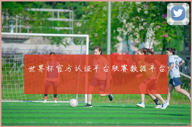 世界杯官方认证平台联赛数据平台