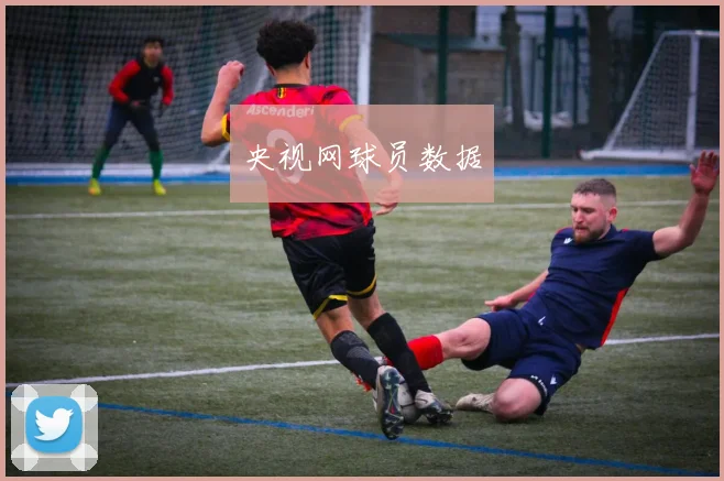 央视网球员数据