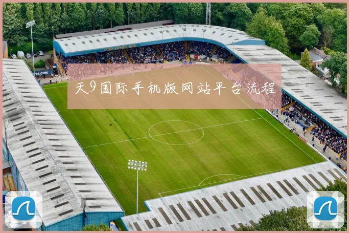 天9国际手机版网站平台流程