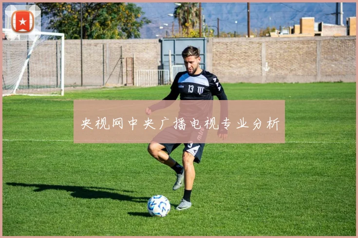 央视网中央广播电视专业分析