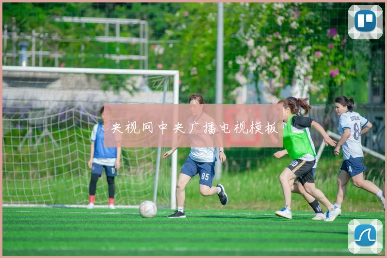 央视网中央广播电视模板