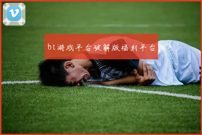 bt游戏平台破解版福利平台