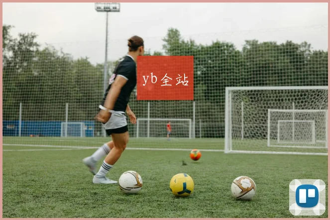 yb全站