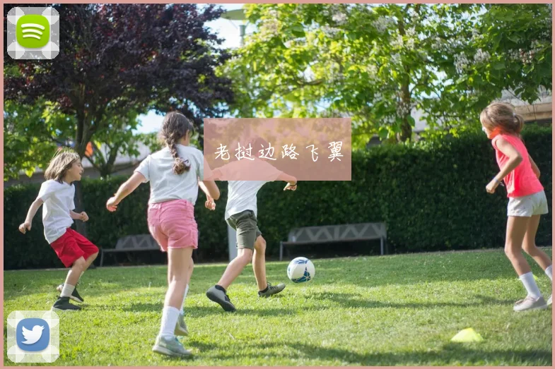 老挝边路飞翼
