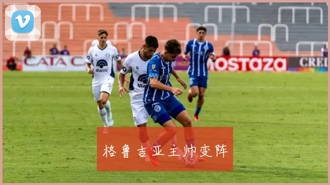 格鲁吉亚主帅变阵