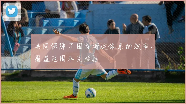 共同保障了国际海运体系的效率、覆盖范围和灵活性