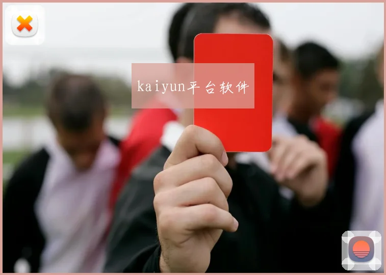 kaiyun平台软件