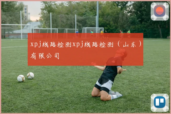 xpj线路检测xpj线路检测（山东）有限公司