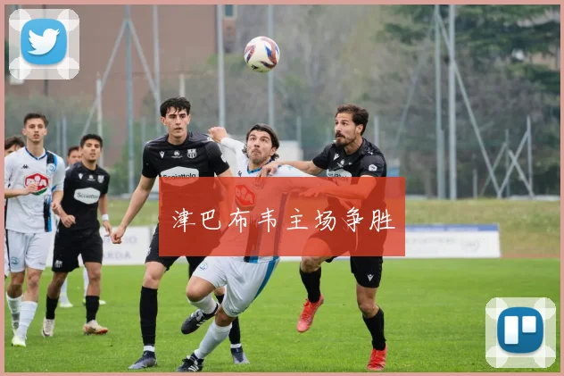 津巴布韦主场争胜
