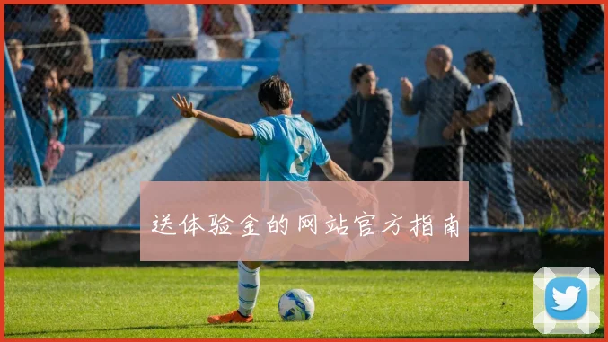 送体验金的网站官方指南