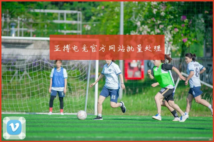 亚搏电竞官方网站批量处理
