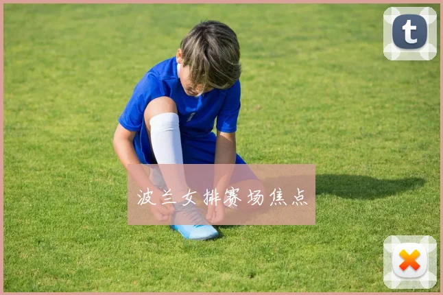 波兰女排赛场焦点