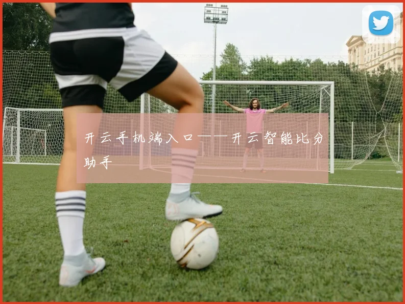 开云手机端入口——开云智能比分助手