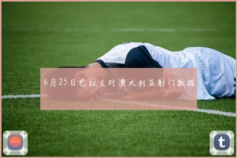 6月25日巴拉圭对澳大利亚射门数据