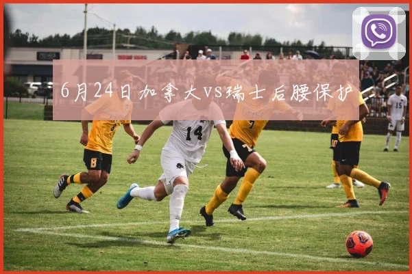 6月24日加拿大vs瑞士后腰保护