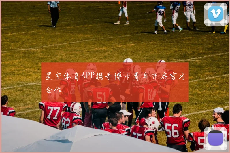 星空体育APP携手博卡青年开启官方合作