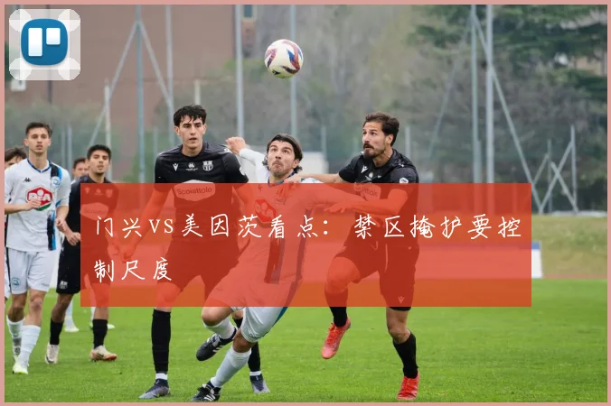 门兴vs美因茨看点:禁区掩护要控制尺度